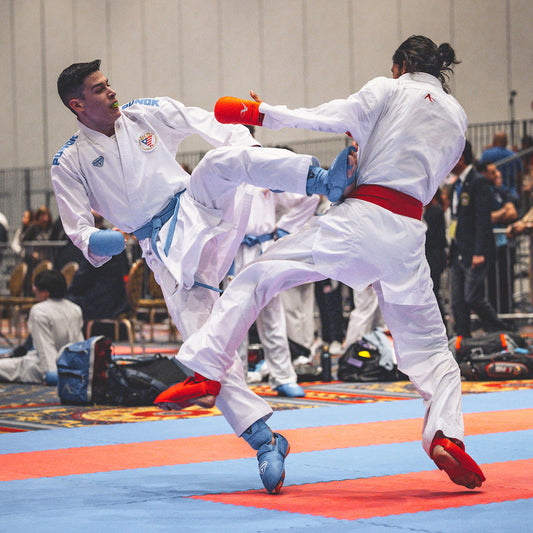 Protecție pentru tibie și laba piciorului PUNOK, aprobată WKF